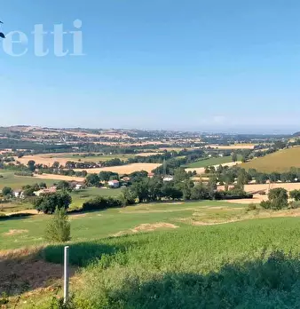Foto annuncio 7