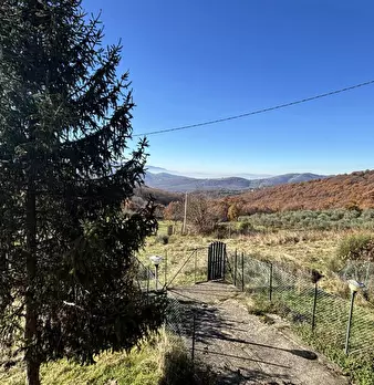 Foto annuncio 15