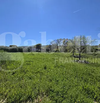 Foto annuncio 6