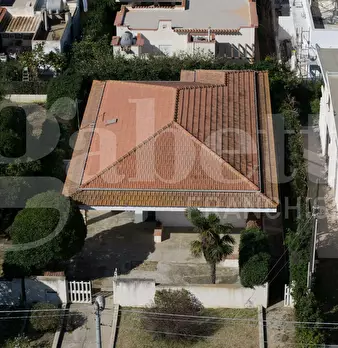 Foto annuncio 41