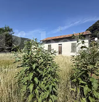 Foto annuncio 13