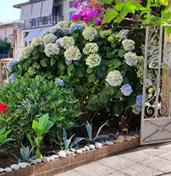 Foto annuncio 3