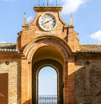 Foto annuncio 50