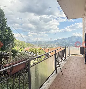 Foto annuncio 13