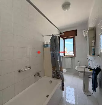 Foto annuncio 11