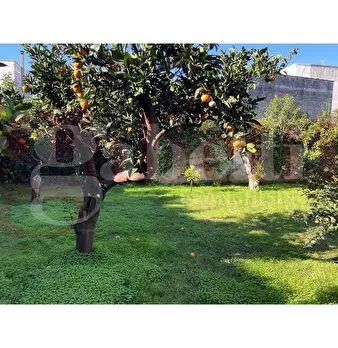 Foto annuncio 22