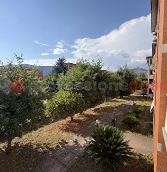 Foto annuncio 30