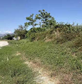 Foto annuncio 5