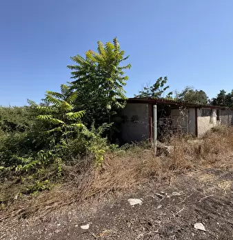 Foto annuncio 17