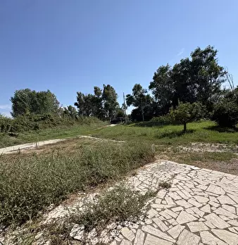 Foto annuncio 28