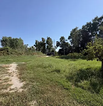 Foto annuncio 25