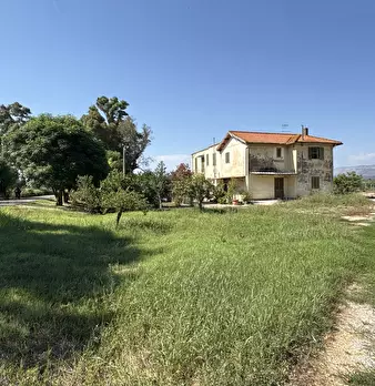 Foto annuncio 48