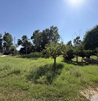 Foto annuncio 24