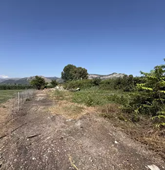 Foto annuncio 16