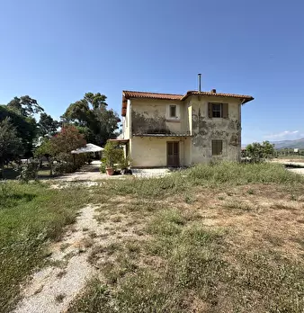 Foto annuncio 44