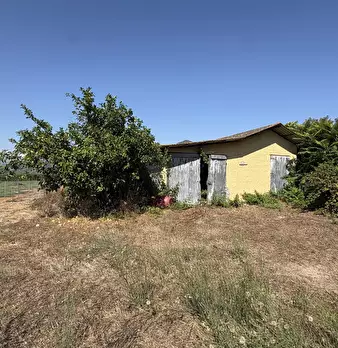 Foto annuncio 12