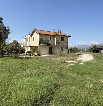 Foto annuncio 6