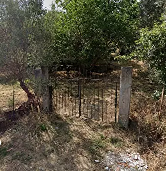 Foto annuncio 3