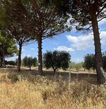 Foto annuncio 1