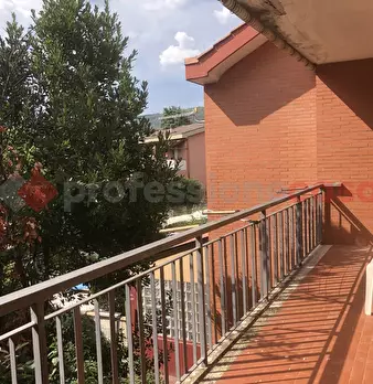 Foto annuncio 43