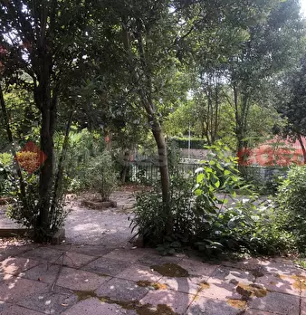 Foto annuncio 34