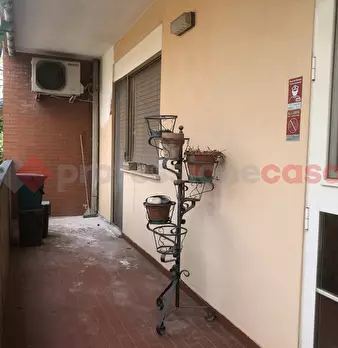 Foto annuncio 7