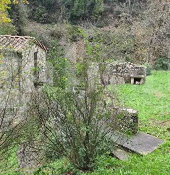 Foto annuncio 2