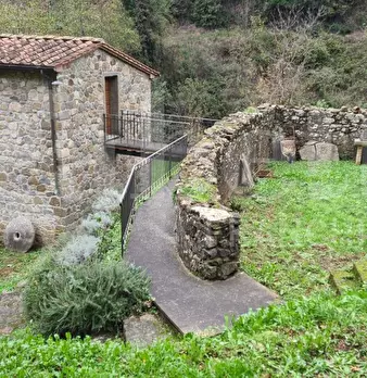Foto annuncio 1