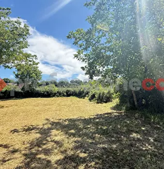 Foto annuncio 18