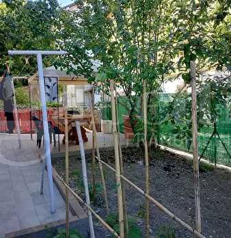 Foto annuncio 35