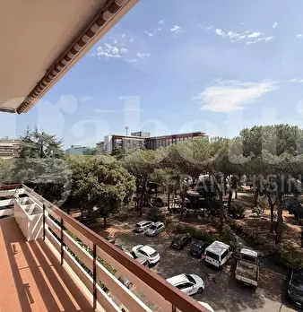 Foto annuncio 15