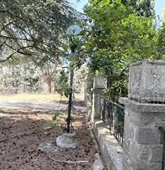 Foto annuncio 11