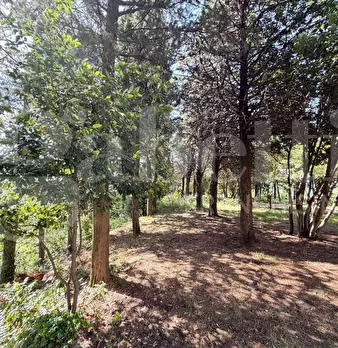 Foto annuncio 18