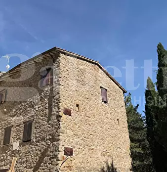 Foto annuncio 23