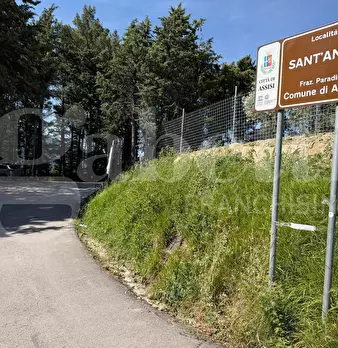 Foto annuncio 41