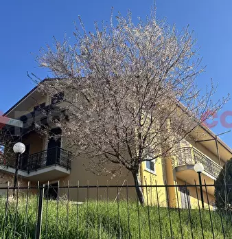 Foto annuncio 22