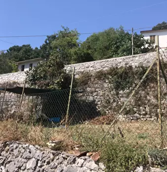 Foto annuncio 25