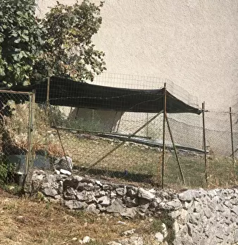 Foto annuncio 24