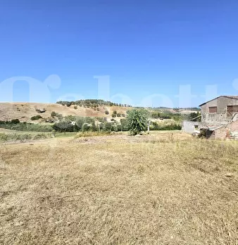 Foto annuncio 4