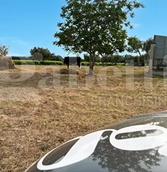 Foto annuncio 17