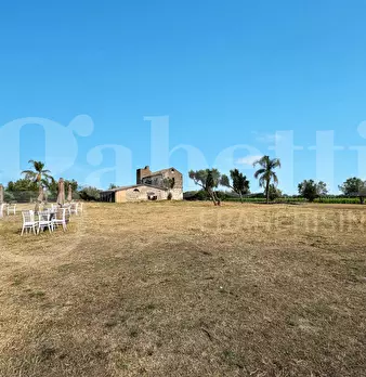 Foto annuncio 11