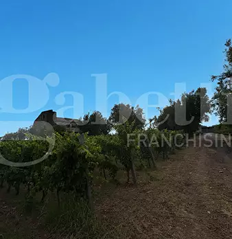 Foto annuncio 24