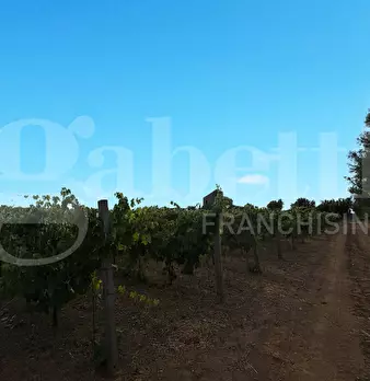 Foto annuncio 22