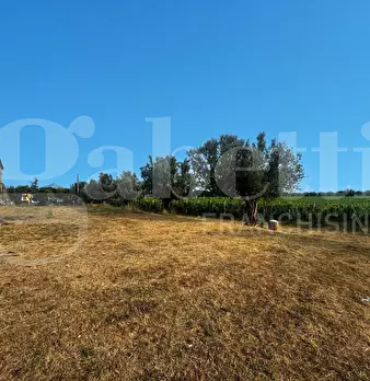 Foto annuncio 4