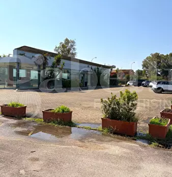 Foto annuncio 2