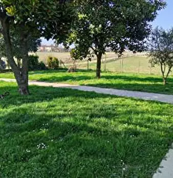 Foto annuncio 3