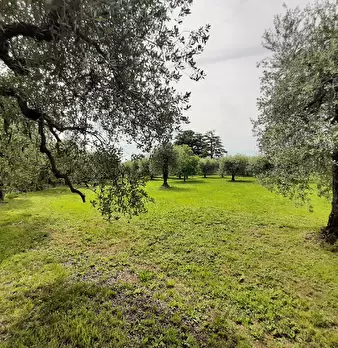 Foto annuncio 17