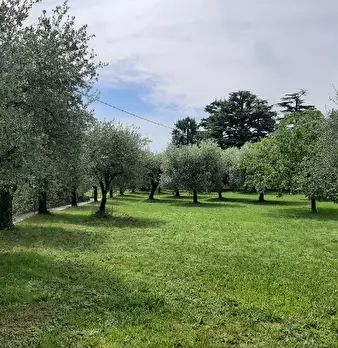 Foto annuncio 11