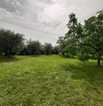 Foto annuncio 6