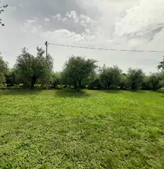 Foto annuncio 5